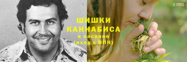 PSILOCYBIN Алексеевка