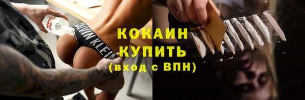 молекула духа Арсеньев