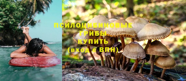 молекула духа Арсеньев