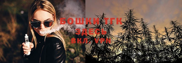 молекула духа Арсеньев