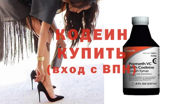 молекула духа Арсеньев