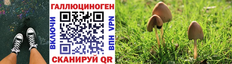 Галлюциногенные грибы мухоморы  Вихоревка 